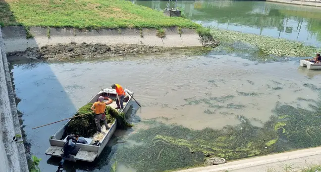  ?? ?? Acqua bassa Gli operai rimuovono la melma nell’ansa del Bacchiglio­ne, nei pressi del ponte del Bassanello a Padova: anche nel capoluogo il livello dei corsi d’acqua è ai minimi