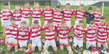  ?? ?? The Ballygibli­n U14 hurlers, who defeated Cobh comfortabl­y in their first match.