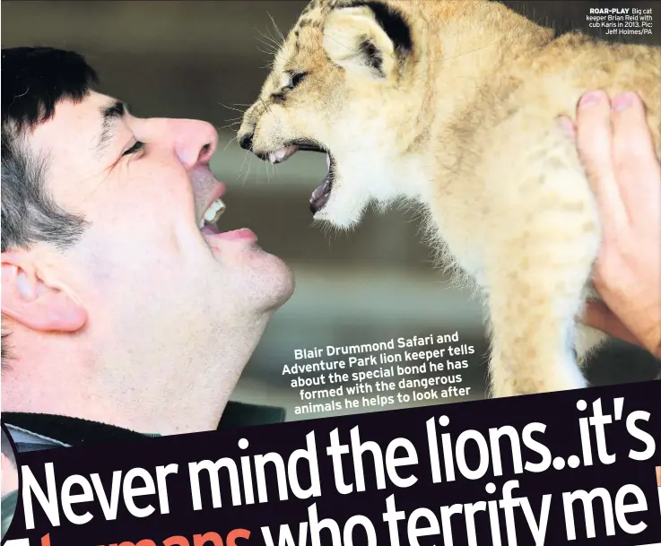  ??  ?? ROAR-PLAY Big cat keeper Brian Reid with cub Karis in 2013. Pic: Jeff Holmes/PA