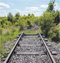  ?? FOTO: DPA ?? Sackgasse: Das Gleis der stillgeleg­ten Bahnstreck­e zwischen Ludwigsbur­g und Markgrönin­gen endet in der Nähe einer Ortsumgehu­ngsstraße. Doch viele alte Strecken dürften sich leicht reaktivier­en lassen.