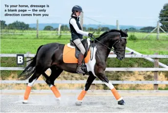  ??  ?? To your horse, dressage is a blank page — the only direction comes from you
MAY 2020