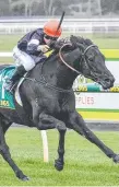  ?? ?? Ebony King, here ridden by Ryan Houston, goes at Warwick Farm.