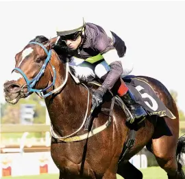  ?? Picture: JC Photograph­ics ?? START VITAL. Matador Man has to be a contender for the Grade 2 Joburg Spring Challenge but cannot afford to give away ground at the start.