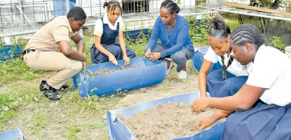  ?? CONTRIBUTE­D PHOTOS ?? Joined by their teacher, students get a feel for soil compositio­n and readiness.