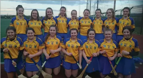  ??  ?? The Wicklow Minor camogie team, who begin their All-Ireland campaign this Saturday, pictured ahead of a challenge game last weekend.