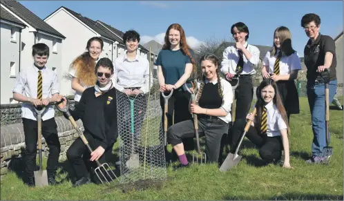  ?? ?? Pupils have been planting trees as part of an eco-project at Oban High School.