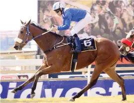  ?? Picture: JC Photograph­ics ?? WELL WEIGHTED. Nafaayes could be a lot better than rated and with just 51kg to carry looks the runner to beat in the Grade 2 Ipi Tombe Challenge over 1600m at Turffontei­n tomorrow.