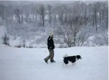  ??  ?? Tracy Trumpner walks her dog in the fresh snow along the ridge above Beaver Dam Flats on Friday.