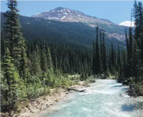  ??  ?? The Yoho River flows through Yoho National Park. The area is a paradise for the outdoors enthusiast, with scenic hikes and crystal-blue water.