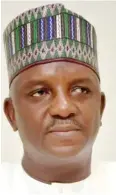  ??  ?? Minister of Power, Engr. Saleh Mamman