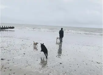  ?? ?? A stroll along Climping Beach