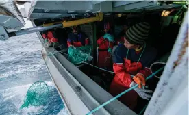  ?? FOTO: FABIO NASCIMENTO ?? Besättning­en jobbar på ett långrevsfa­rtyg utanför Antarktis. Olönsamhet­en i det globala fisket är påfallande. Det hålls flytande genom subvention­er, men det är också möjligt att fångstmäng­der och löneutbeta­lningar inte redovisas korrekt.