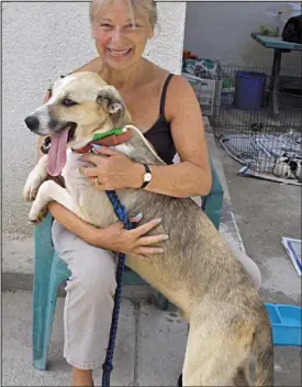  ??  ?? Animal lover: Jean with Knight, the rescue dog she fell for in Cyprus