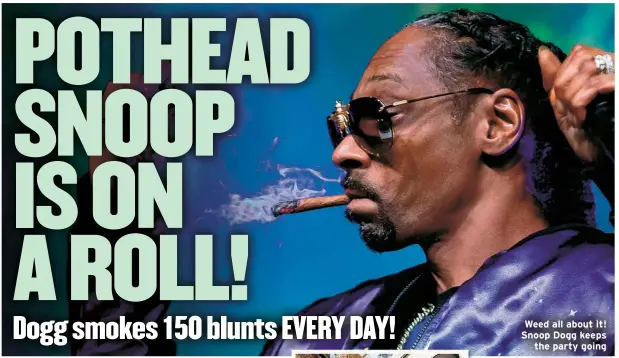 ?? ?? Weed all about it! Snoop Dogg keeps the party going