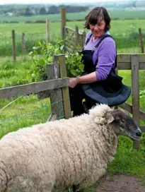  ??  ?? Paula’s cottage workshop is edged with late spring flowers (top). Resident sheep follow Paula as she passes through the fields (above).