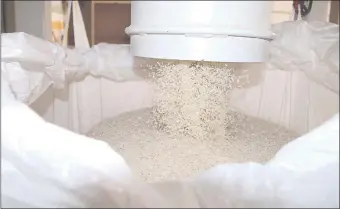  ??  ?? Arrosur SRL abrió sus puertas para mostrar cómo se hace la producción industrial de arroz en su fábrica.