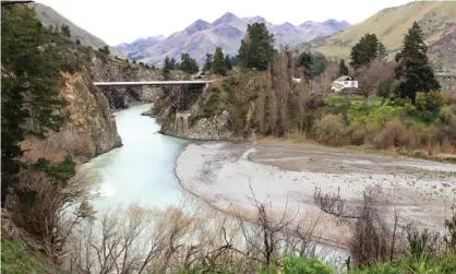  ??  ?? The Waiau river near Hanmer Springs, in New Zealand’s South Island. A mountain biker said he saw a cat ‘about knee height’ in the area. Photograph: The Guardian