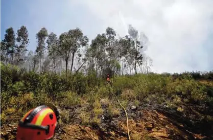  ??  ?? A firefighte­r plane drops water as Spanish military firefighte­rs from the Emergency Military Unit (UME) work on the ground in Cernache de Bomjardim in Serta yesterday. —AFP