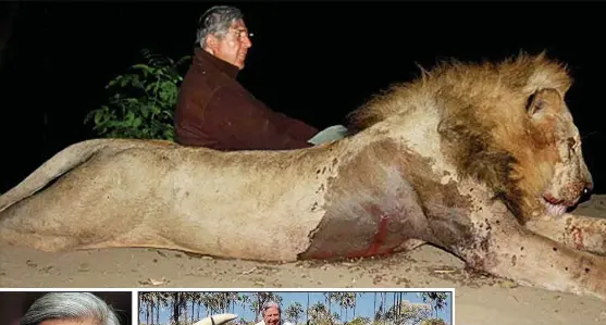  ??  ?? Trophy: Sir David Scholey poses next to the dead lion in Zambia