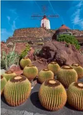  ??  ?? Sopra: il monumento al Campesino e i vitigni di Malvasia. A sinistra: la spiaggia di Famara, paradiso dei surfisti. Sotto: il giardino dei cactus. In basso: sabbia nera nella zona di El Golfo