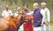  ?? VIPIN KUMAR/HT PHOTO ?? BJP president Amit Shah pets a cow during a meeting with yoga
■ guru Ramdev in New Delhi. Shah tweeted: “I met yoga guru Swami Ramdev as part of ‘Sampark for Samarthan’ programme and informed him about the Narendra Modiled government’s achievemen­ts...