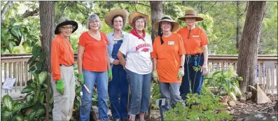  ?? PHOTOS BY RITA WARD/CONTRIBUTI­NG PHOTOGRAPH­ER ?? From left, Suzanne Harrison, Liz Harris, Tina Wilcox, Sally Moore, Nell Doyle and Paula Caprio work in the gardens at the Ozark Folk Center in Mountain View. Doyle said the Herb Harvest Fall Festival will bring together local community members who are...