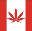  ?? Foto: stock.adobe.com ?? Kanadas Flagge – hier in ironisiert­er Version.