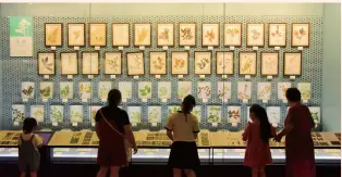  ?? Photo: VCG ?? Parents and children look at a night exhibition of plants at the Zhejiang Museum of Natural History on July 6, 2022.