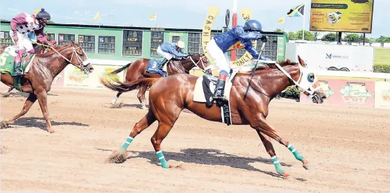  ?? IAN ALLEN/PHOTOGRAPH­ER ?? A.P.I. (Wesley Henry) winning the sixth race at Caymanas Park on October 14.