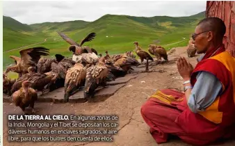  ??  ?? DE LA TIERRA AL CIELO.
En algunas zonas de la India, Mongolia y el Tíbet se depositan los cadáveres humanos en enclaves sagrados, al aire libre, para que los buitres den cuenta de ellos.