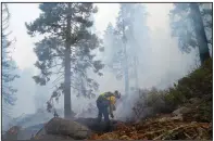  ?? (AP/Jae C. Hong) ?? Will Fitch, fire captain from Cosumnes Fire Department, holds a fire line on Friday to keep the Caldor Fire from spreading in South Lake Tahoe, Calif.