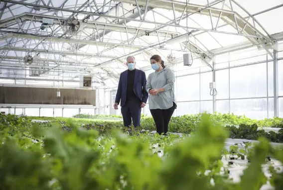  ?? ?? Mental Health Center of Denver CEO Carl Clark looks over the crops with aquaponics farm coordinato­r Elena Aragon one morning at the Dahlia Campus for Health and Well-being in Denver.