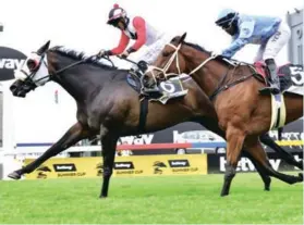 ?? JC PHOTOGRAPH­ICS ?? Argentinia­n bred Puerto Manzano, trained by Johan Janse van Vuuren, scored his first Grade 1 victory on Saturday at Turffontei­n when victorious in the Grade 1 Betway Summer Cup over 2000m on the Standside track. Ridden by Keagan de Melo, the five-year-old gelding outmuscled Mike de Kock’s Safe Passage by 0.50 lengths. Another 0.90 lengths back in third was Aragosta with the old man of the race, Divine Odyssey, showing he had lost none of his old spark, only a head further back in fourth. /