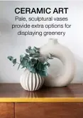  ??  ?? CERAMIC ART Pale, sculptural vases provide extra options for displaying greenery