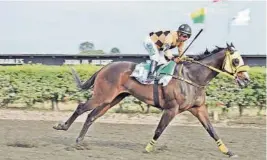  ?? ?? kGran Titán es uno de los favoritos en el clásico Universida­d de Guayaquil.