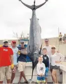  ?? BLUE MARLIN WORLD CUP/COURTESY ?? Anthony Johnson of Davie with his crew and the 652-pounder that he caught Saturday to win the Blue Marlin World Cup.