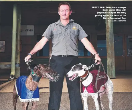  ?? Picture: SHAE BEPLATE ?? PRIZED PAIR: Bohle Barn manager David Levick- Ollier with greyhounds Chippa and Willy gearing up for the heats of the North Queensland Cup.