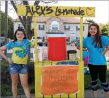  ?? SUBMITTED PHOTO ?? All 25 Malvern School locations throughout Pennsylvan­ia and New Jersey sold cold, fresh lemonade outside their schools and in one day raised $32,000.