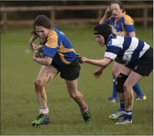  ??  ?? No stopping Rathdrum’s Ellen Fox at the Ivy Leaf.