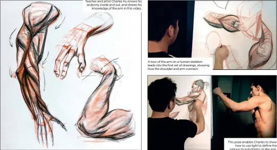  ??  ?? Teacher and artist Charles Hu knows his anatomy inside and out, and shares his knowledge of the arm in this video. This pose enables Charles to show how to use light to define the various muscle forms on the arm.