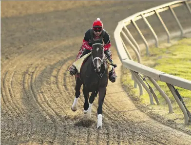  ?? PATRICK SMITH/GETTY IMAGES ?? Classic Empire trains at Baltimore’s Pimlico Race Course on Thursday ahead of Saturday’s Preakness Stakes. Pimlico has been the home of the Preakness for the last 108 years, though the decrepit state of the track has some suggesting the race should be...