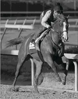  ?? BARBARA D. LIVINGSTON ?? Justify, shown training Monday, can become the first unbeaten Triple Crown winner to have made his career debut at age 3.