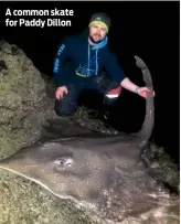  ??  ?? A common skate for Paddy Dillon