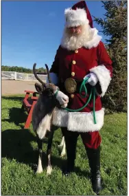  ?? (AP/Melissa Rickard) ?? Melissa Rickard is dressed as Santa, with a reindeer in October at the Rooftop Landing Reindeer Farm in Claire, Mich. Rickard, 48, a rare female Santa, first donned the red suit to perform as Santa while in her early 20s.