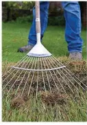  ??  ?? Scarify your lawn to remove dead foliage and improve air flow
