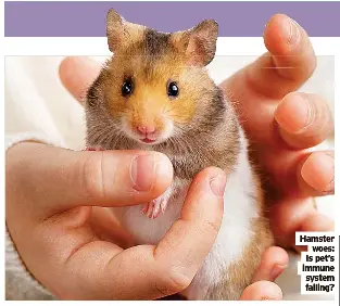 Mites might be sign of decline - PressReader