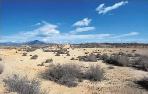  ?? JUAN CARLOS SOLER ?? Tierras afectadas por la sequía en la provincia de Alicante