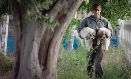  ??  ?? Back to nature … John Chester in The Biggest Little Farm. Photograph: Allstar/Farmlore Films