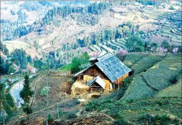  ?? VIET NAM NEWS ?? Arriving at Si Ma Cai, visitors can indulge in the pure nature, the mountains and thick forest as well as enjoy the local specialtie­s.