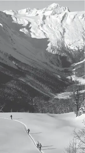  ?? TED RHODES / CALGARY HERALD ?? Skiers are dwarfed by the Glacier Dome of B.C.’s Jumbo Valley, site of the proposed Jumbo ski resort, which is being protested by the Ktunaxa Nation.